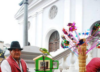 Organillero Organillero