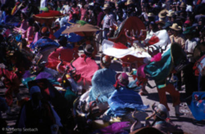 Fiesta la Tirana Fiesta la Tirana