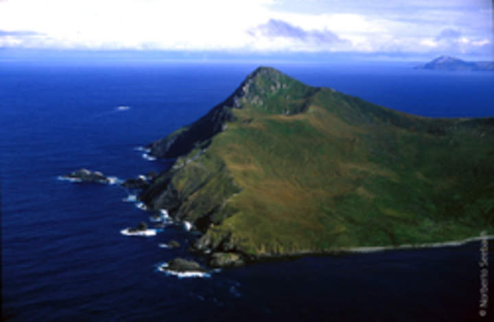 Cabo de Hornos Cabo de Hornos