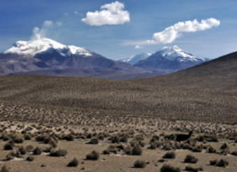 Guallatire Guallatire