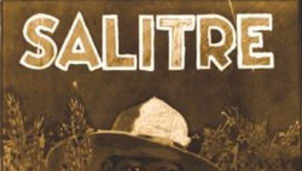Afiche del salitre Afiche del salitre