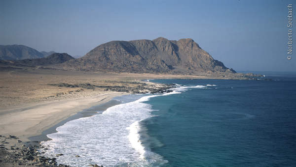 Caleta Sur Caleta Sur