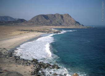 Caleta Sur Caleta Sur