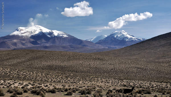 Guallatire Guallatire