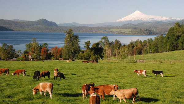 Panguipulli Panguipulli