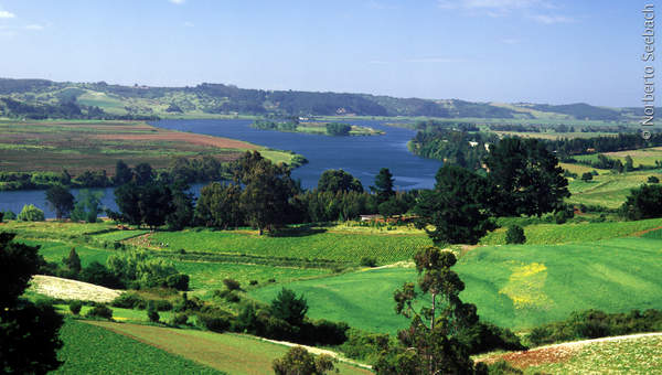 Río Imperial Río Imperial