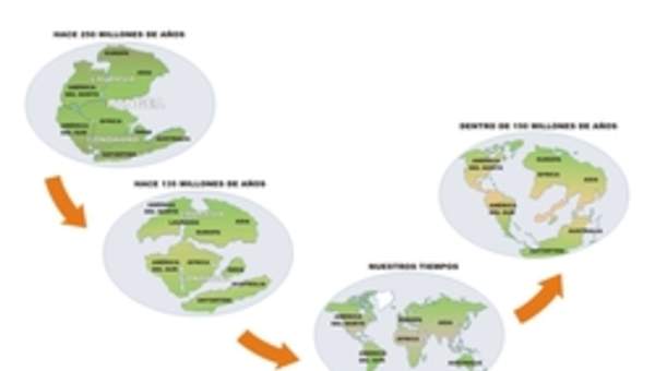 Deriva continental Deriva continental