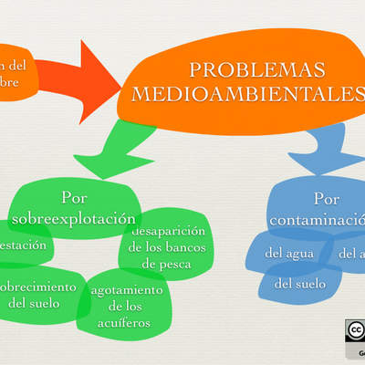 Problemas medioambientales Problemas medioambientales