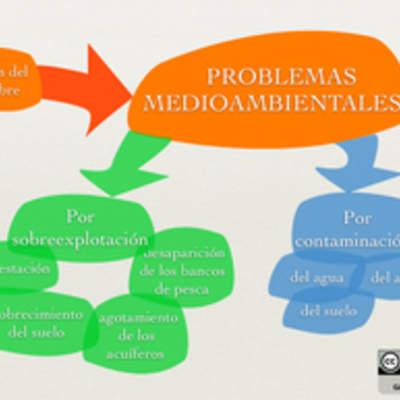 Problemas medioambientales Problemas medioambientales