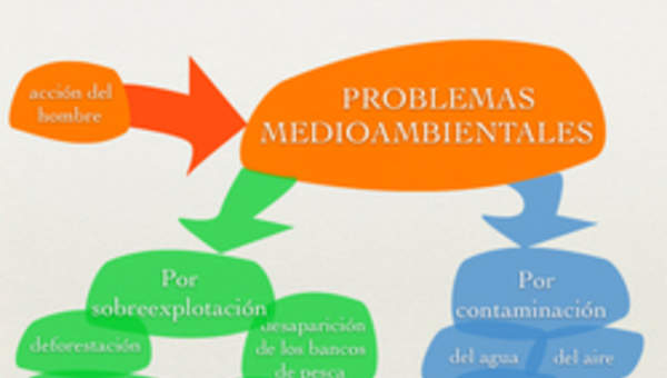Problemas medioambientales Problemas medioambientales
