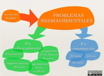 Problemas medioambientales Problemas medioambientales