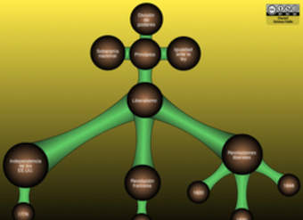 Liberalismo Liberalismo