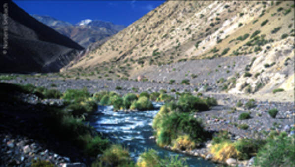 Elqui Elqui
