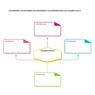 Sinónimo, antónimo, hiperónimo e hipónimo para una palabra nueva Sinónimo, antónimo, hiperónimo e hipónimo para una palabra nueva