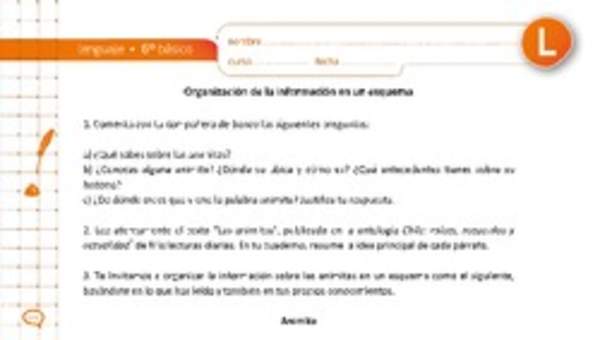 Organización de la información en un esquema Organización de la información en un esquema