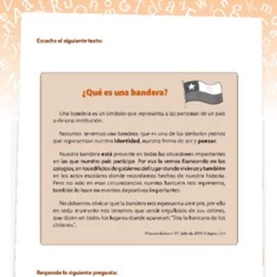 Texto informativo ¿Qué es una bandera? Texto informativo ¿Qué es una bandera?