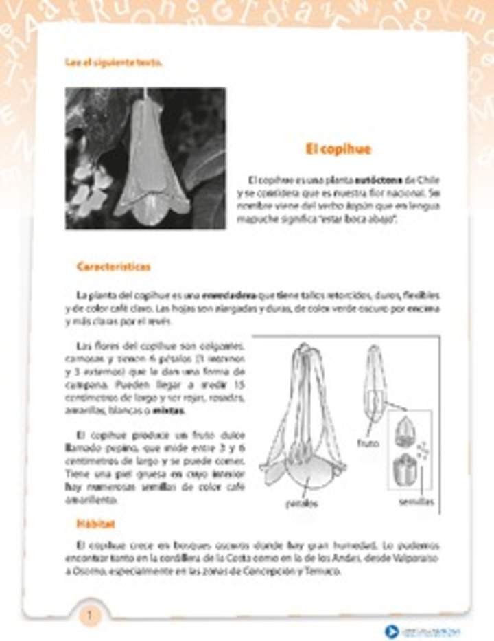 Comprensión El copihue Comprensión El copihue