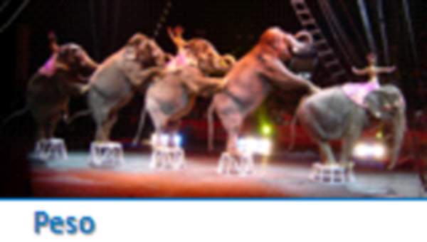 Peso Peso