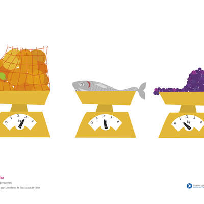 Medición del peso (I) Medición del peso (I)