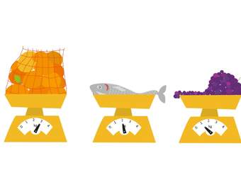 Medición del peso (I) Medición del peso (I)