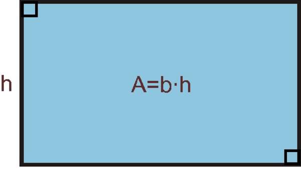 Fórmula de área de un rectángulo Fórmula de área de un rectángulo
