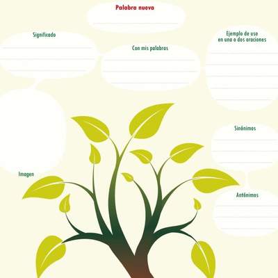 Esquema para aprender una palabra nueva Esquema para aprender una palabra nueva