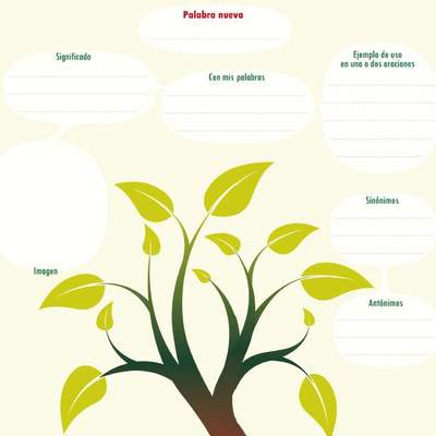 Esquema para aprender una palabra nueva Esquema para aprender una palabra nueva