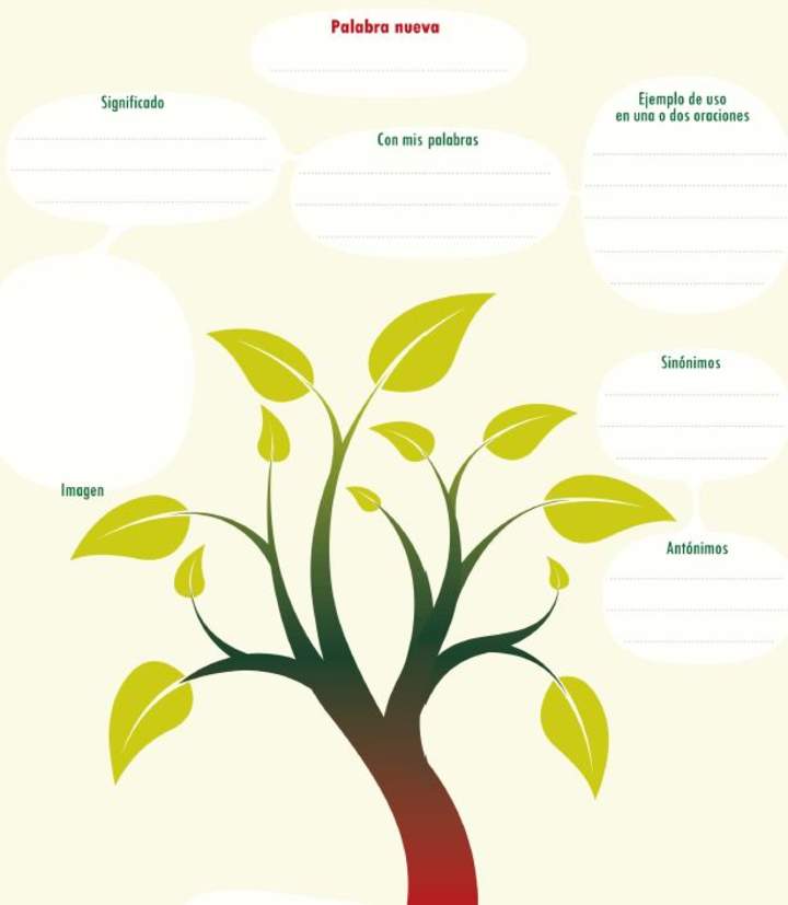 Esquema para aprender una palabra nueva Esquema para aprender una palabra nueva