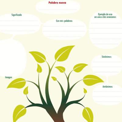 Esquema para aprender una palabra nueva Esquema para aprender una palabra nueva