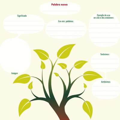 Esquema para aprender una palabra nueva Esquema para aprender una palabra nueva