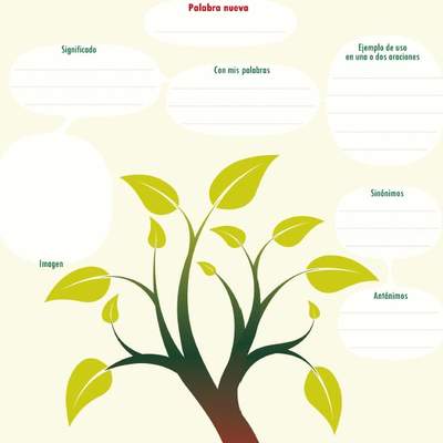 Esquema para aprender una palabra nueva Esquema para aprender una palabra nueva