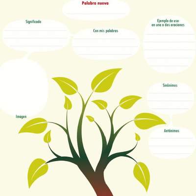Esquema para aprender una palabra nueva Esquema para aprender una palabra nueva