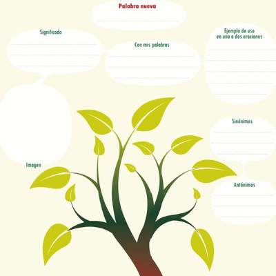 Esquema para aprender una palabra nueva Esquema para aprender una palabra nueva