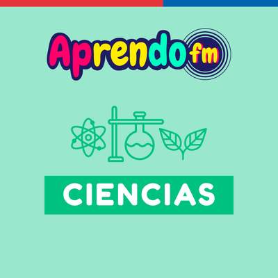 AprendoFM: Tecnología y Sociedad - 3M OA2 / 4M OA2 - Cápsula 165 - Avances tecnológicos AprendoFM: Tecnología y Sociedad - 3M OA2 / 4M OA2 - Cápsula 165 - Avances tecnológicos