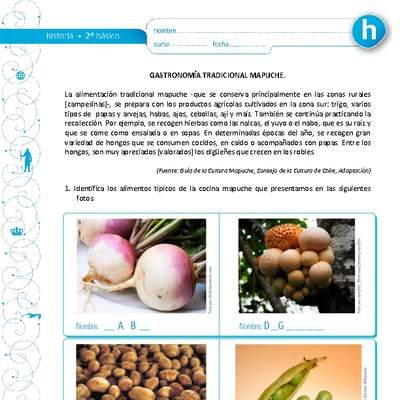 Gastronomía Tradicional mapuche Gastronomía Tradicional mapuche