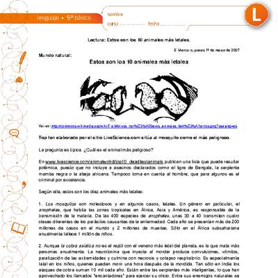 Estos son los 10 animales más letales Estos son los 10 animales más letales