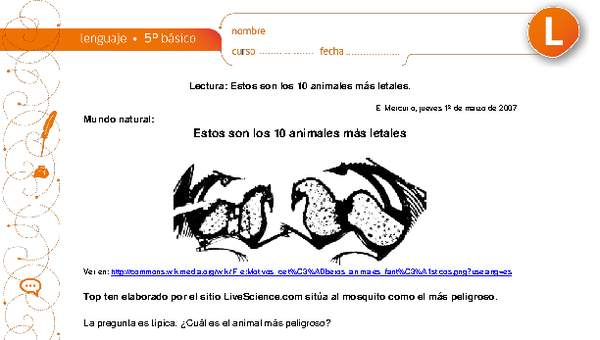 Estos son los 10 animales más letales Estos son los 10 animales más letales