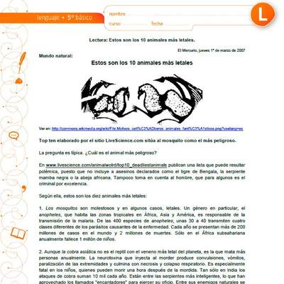 Estos son los 10 animales más letales Estos son los 10 animales más letales