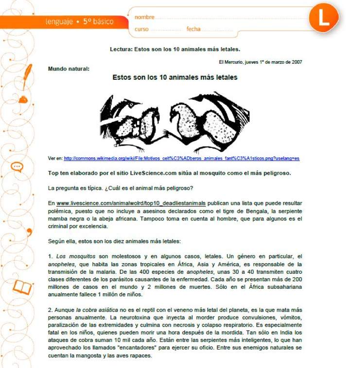 Estos son los 10 animales más letales Estos son los 10 animales más letales