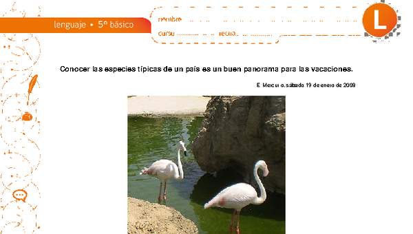 Conocer las especies típicas de un país es un buen panorama para las vacaciones Conocer las especies típicas de un país es un buen panorama para las vacaciones