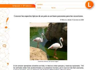 Conocer las especies típicas de un país es un buen panorama para las vacaciones Conocer las especies típicas de un país es un buen panorama para las vacaciones