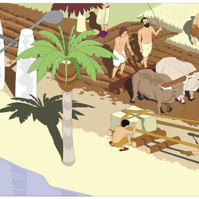 Agricultura en Egipto Agricultura en Egipto