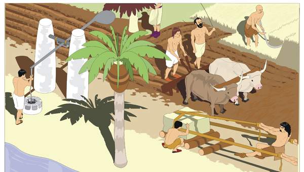 Agricultura en Egipto Agricultura en Egipto