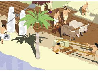 Agricultura en Egipto Agricultura en Egipto