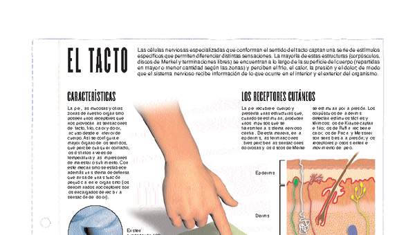 El tacto El tacto