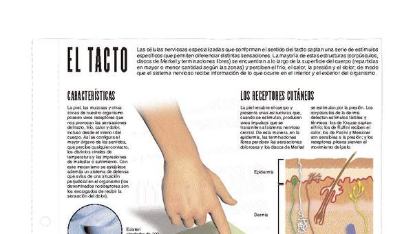 El tacto El tacto