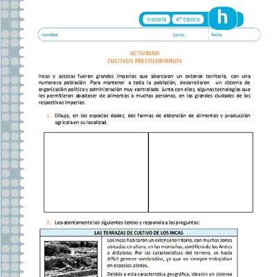 Cultivos precolombinos Cultivos precolombinos