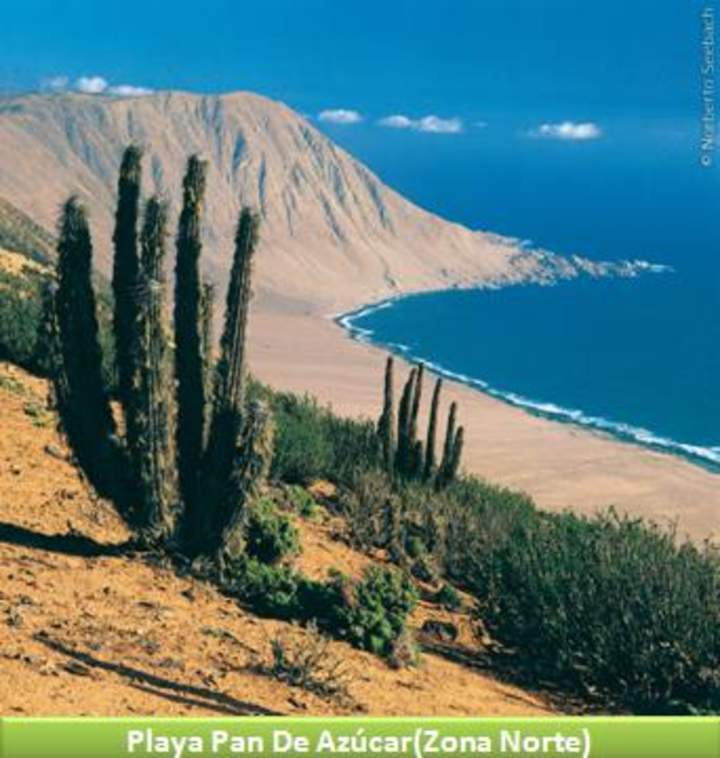 Playa Pan de Azúcar, Zona Norte Playa Pan de Azúcar, Zona Norte