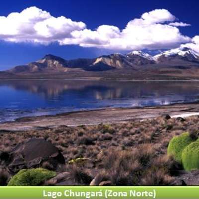 Lago Chungará, Zona Norte Lago Chungará, Zona Norte
