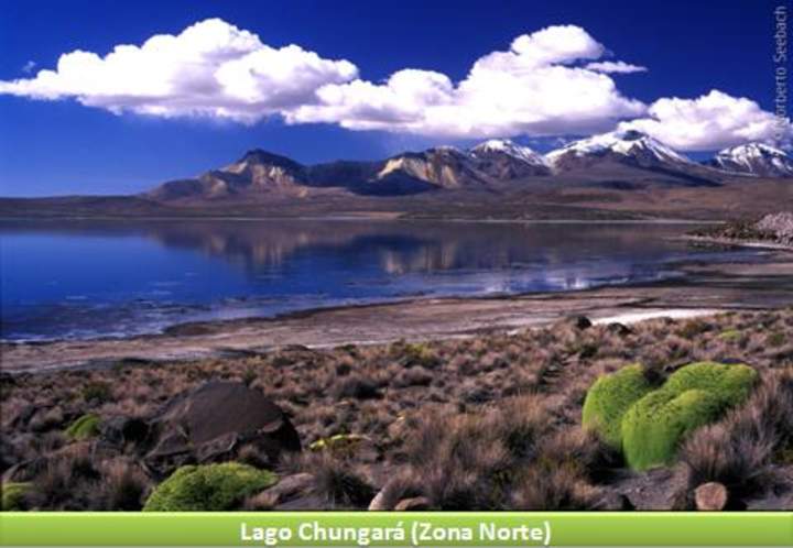 Lago Chungará, Zona Norte Lago Chungará, Zona Norte